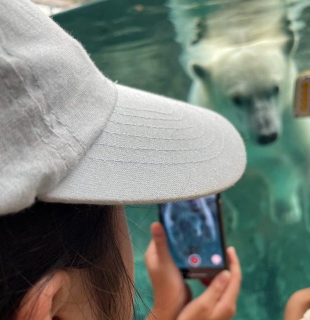 ホッキョクグマ